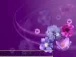 Flori - Wallpapers cu flori - Wallpapers